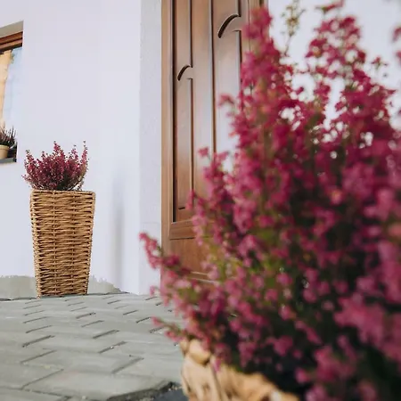 Homestay Zakopianska Stodola