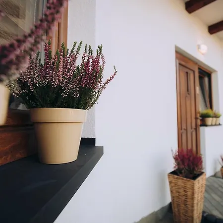 Homestay Zakopianska Stodola