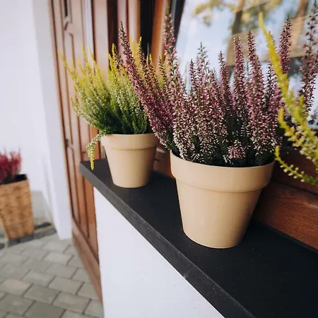 Zakopianska Stodola Homestay *